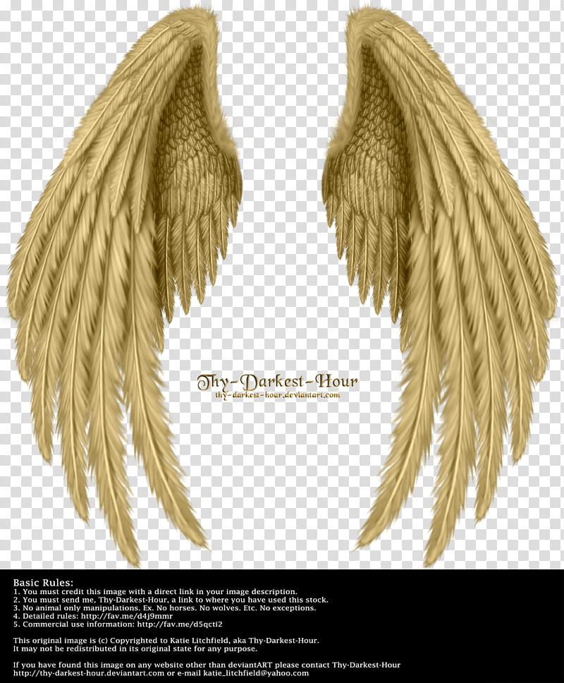 brown angel wings