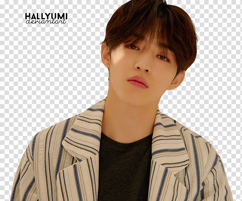 SEVENTEEN You Make My Day Meet Ver, BTS V transparent background PNG clipart