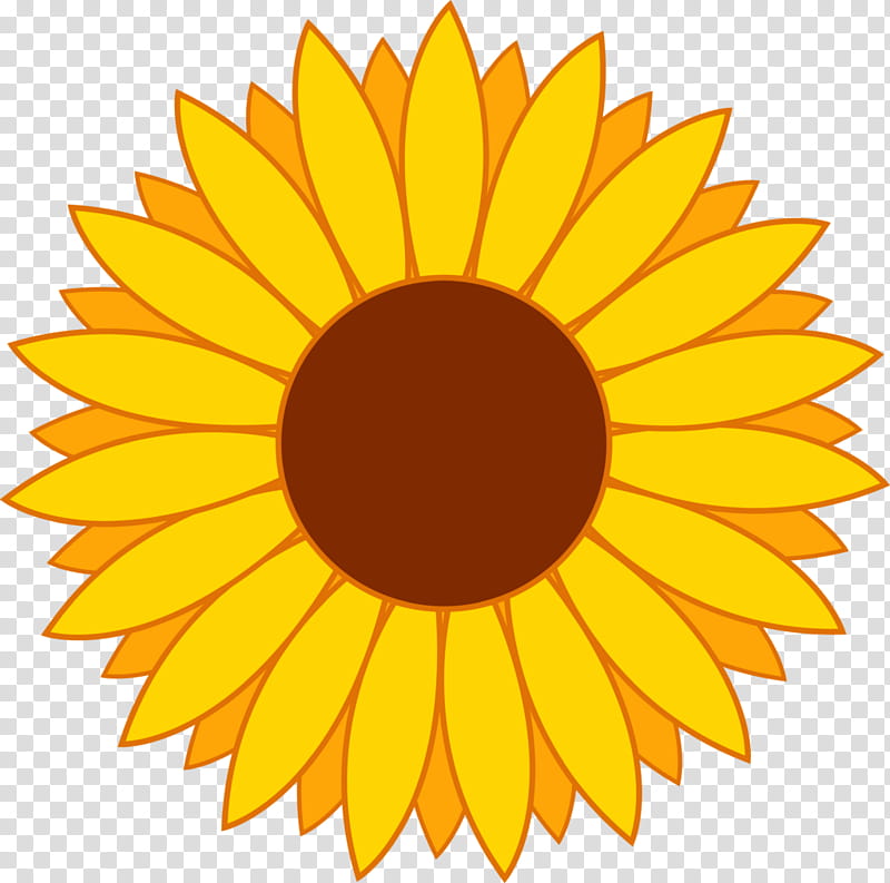 Flower Line Art, Sunflower, Yellow, Plant, Circle, Petal, Pollen, Daisy Family transparent background PNG clipart