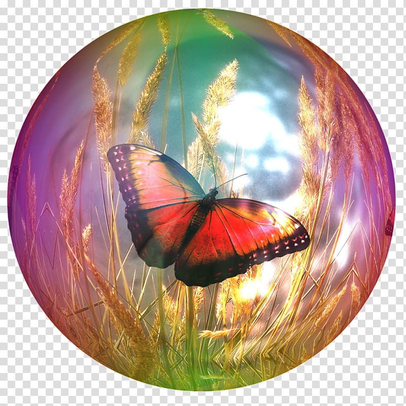 Bubble Soap, Butterfly, Soap Bubble, Kguru Quest, Sphere, Butterfly Effect, Insect, Monarch Butterfly transparent background PNG clipart