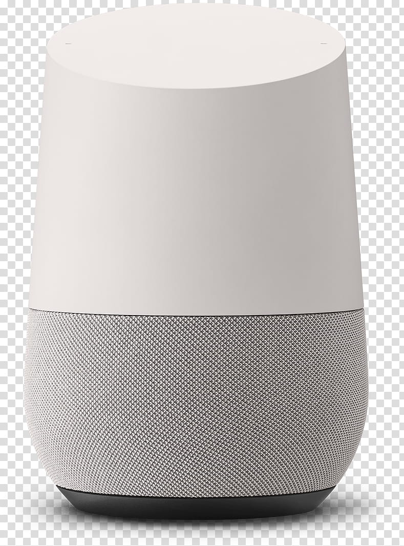 Google home mini store internet