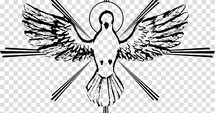 Bird Line Art, Holy Spirit, Catechism Of The Catholic Church, Seven Gifts Of The Holy Spirit, Christianity, Confirmation, Pentecost, Spiritual Gift transparent background PNG clipart