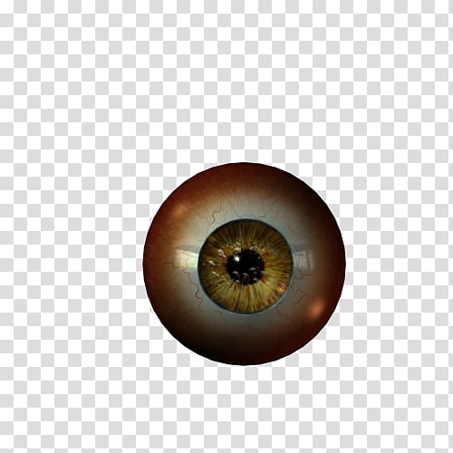 Texture Set  Eyeballs, brown eyes illustration transparent background PNG clipart
