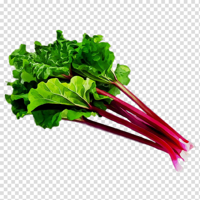 Spring, Chard, Collard Greens, Spring Greens, Rapini, Herb, Superfood, Garden Rhubarb transparent background PNG clipart
