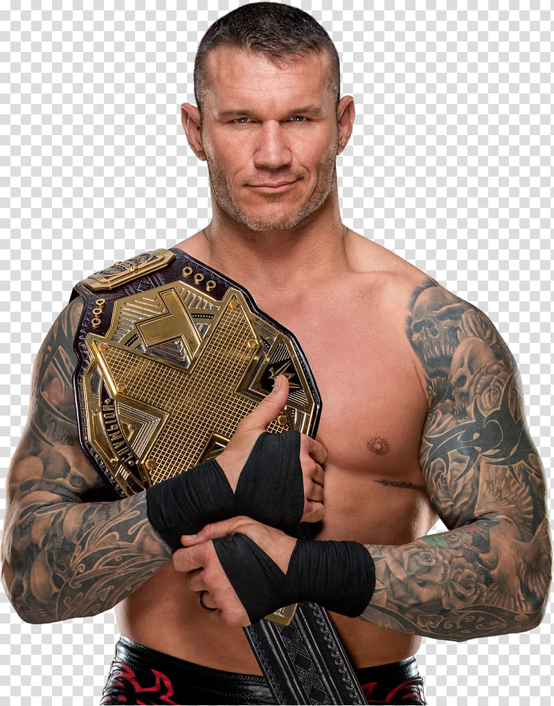 Randy Orton transparent background PNG clipart