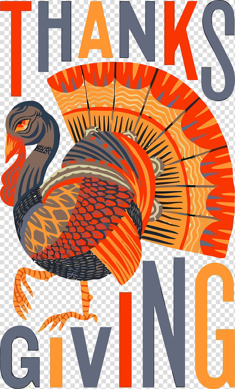 thanksgiving turkey, Thanksgiving Turkey , Bird, Wild Turkey, Poster, Beak transparent background PNG clipart