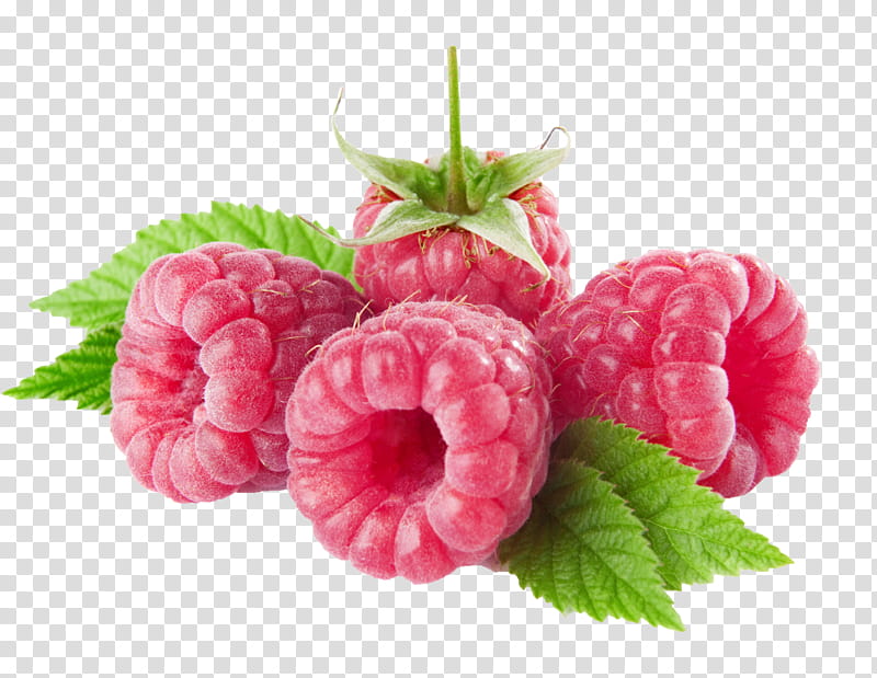 Raspberry on a background, four pink raspeberry fruits transparent background PNG clipart