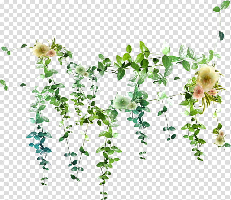Flowers, Seagrass, Marine Botany, Aquatic Plants, Cartoon, Painting, Ivy, Pedicel transparent background PNG clipart