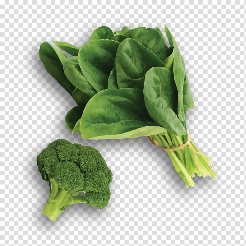 Green Leaf, Spinach, Chard, Collard Greens, Komatsuna, Romaine Lettuce, Vegetable, Food transparent background PNG clipart