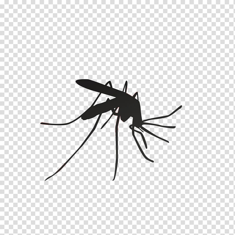 Mosquito Insect, Pest, Pest Control, Off Clip On Mosquito Repellent, Mosquito Control, Bug Zapper, Mosquito Coil, Dengue Fever transparent background PNG clipart