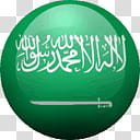 TuxKiller MDM HTML Theme V , green and white flag transparent background PNG clipart