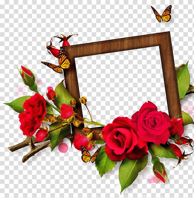 frame, Flower, Rose, Plant, Cut Flowers, Frame, Branch, Twig transparent background PNG clipart
