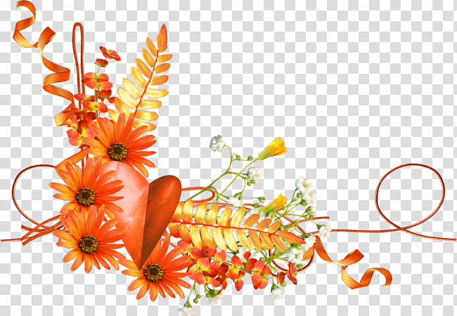 Floral Flower, Floral Design, Cut Flowers, Flower Bouquet, Petal, Transvaal Daisy, Orange, Floristry transparent background PNG clipart