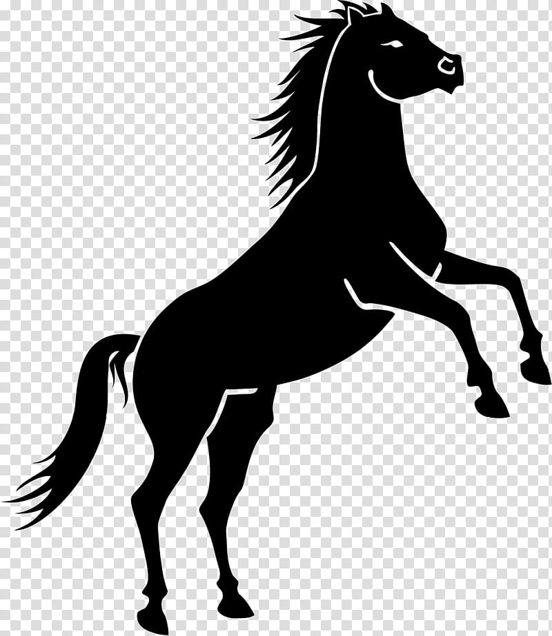 Horse, Mustang, Rearing, Silhouette, Wild Horse, Drawing, Mane, Stallion transparent background PNG clipart