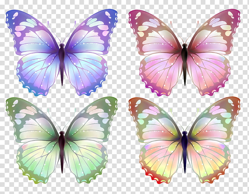 butterfly insect moths and butterflies pollinator brush-footed butterfly, Brushfooted Butterfly, Symmetry, Wing, Lycaenid, Pieridae transparent background PNG clipart