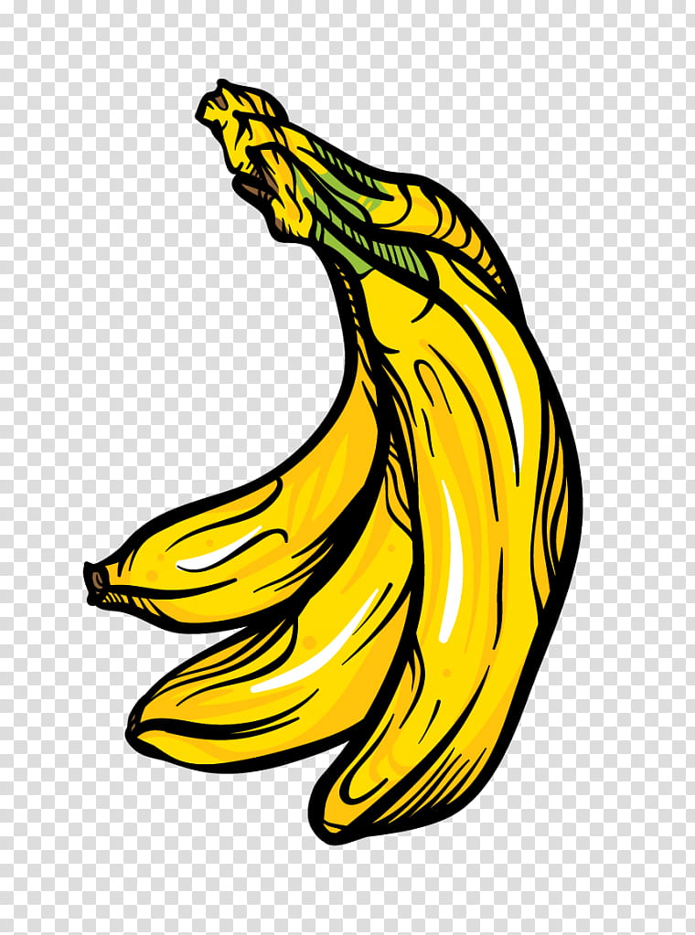 banana yellow banana family plant logo transparent background PNG clipart