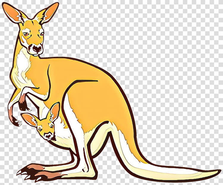 Kangaroo, Drawing, Macropods, Boxing Kangaroo, Macropodidae, Wallaby, Red Kangaroo, Tail transparent background PNG clipart