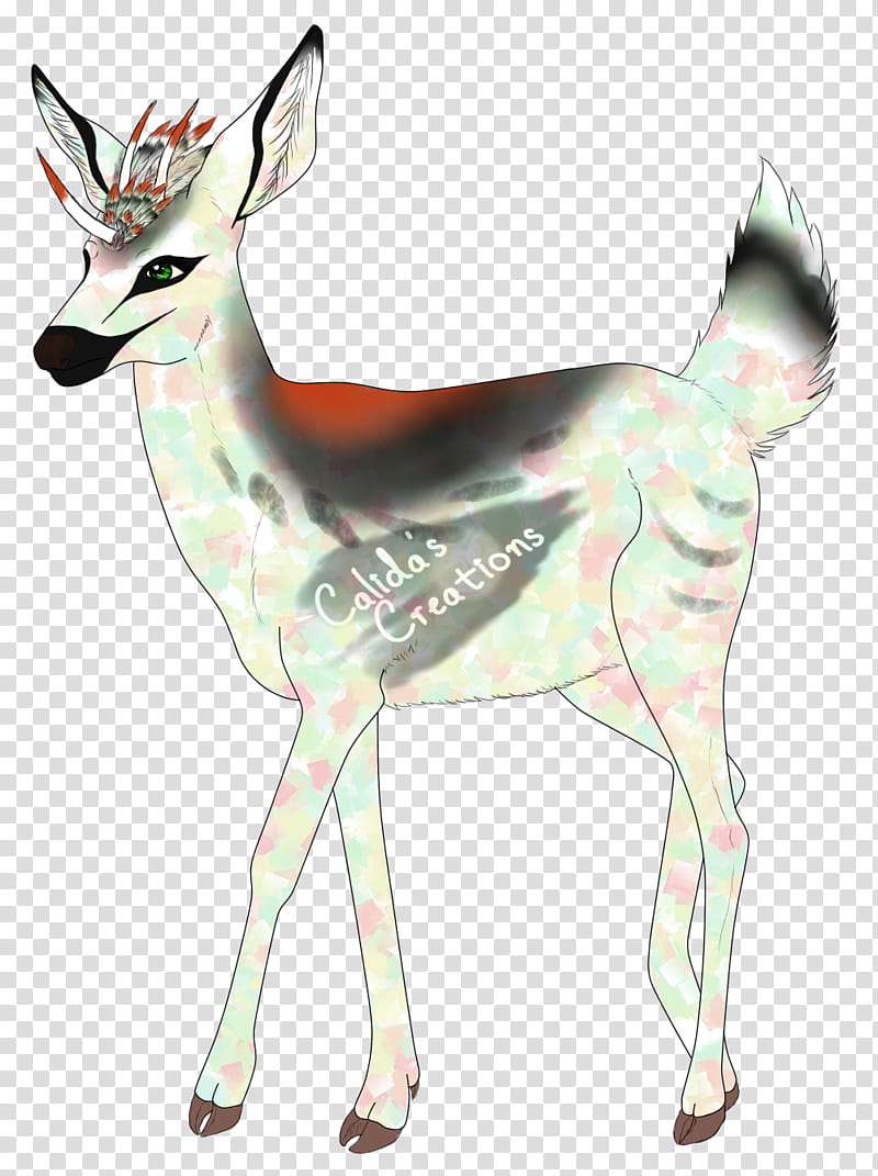 Reindeer, Moschus, Antler, Camel, Gazelle, Musk, Wildlife, Roe Deer transparent background PNG clipart