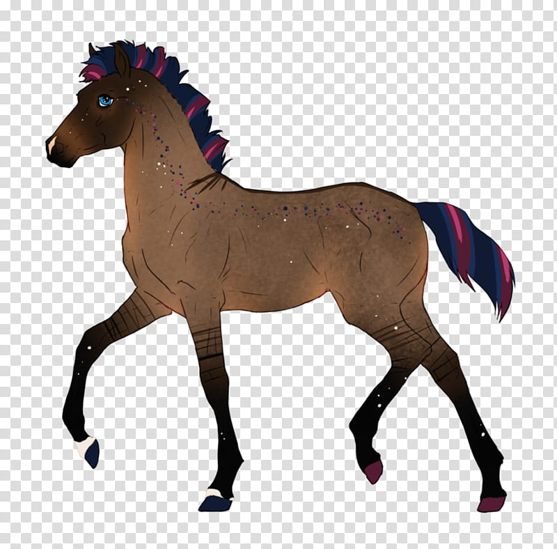 Horse, Mustang, Foal, Bc548, Mare, Pony, Drawing, Stallion transparent background PNG clipart