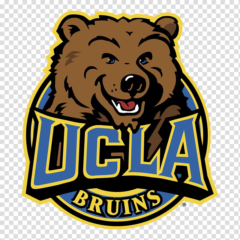 American Football, University Of California Los Angeles, Ucla Bruins Football, Logo, Bear, Snout transparent background PNG clipart