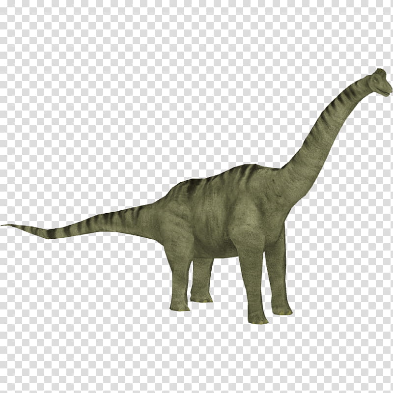 Jurassic World, Zoo Tycoon 2, Brachiosaurus, Jurassic Park Operation Genesis, Jurassic Park Iii Park Builder, Camarasaurus, Stegosaurus, Dinosaur transparent background PNG clipart