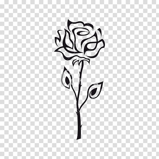 Black Rose Drawing, Line Art, Blackandwhite, Plant Stem, Leaf, Flower, Cut Flowers, Pedicel transparent background PNG clipart