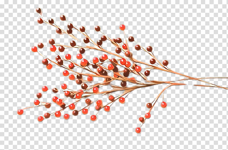 red pink peppercorn plant tree branch, Flower transparent background PNG clipart