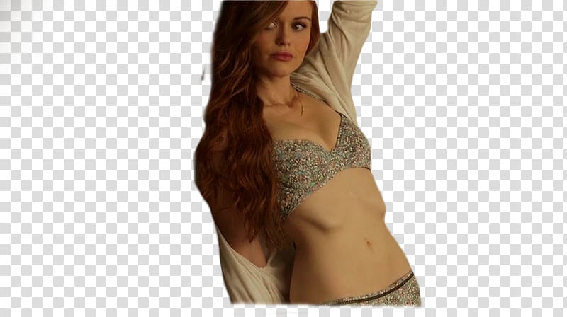 HollandRoden SP transparent background PNG clipart