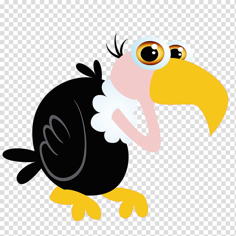 bird cartoon toucan beak vulture, Piciformes transparent background PNG clipart