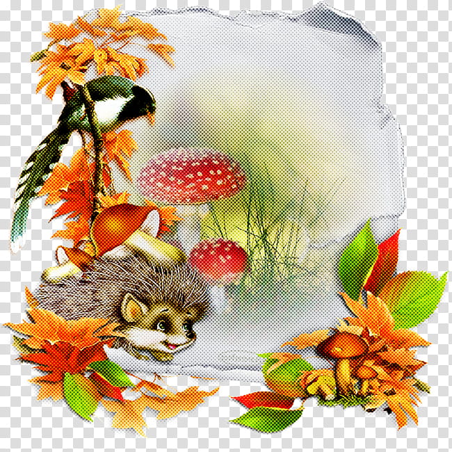 cat plant kitten flower small to medium-sized cats, Small To Mediumsized Cats, Wildflower transparent background PNG clipart