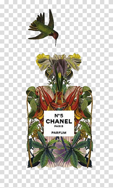 CHANEL No  transparent background PNG clipart