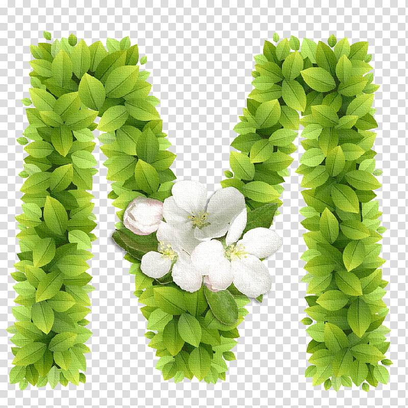 Flowers, Letter, Alphabet, M, Writing System, Lettering, Word, Initial transparent background PNG clipart