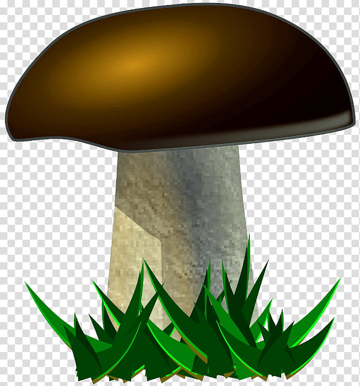 Green Grass, Mushroom, Fungus, True Morels, Common Mushroom, Food, Document, Leaf transparent background PNG clipart