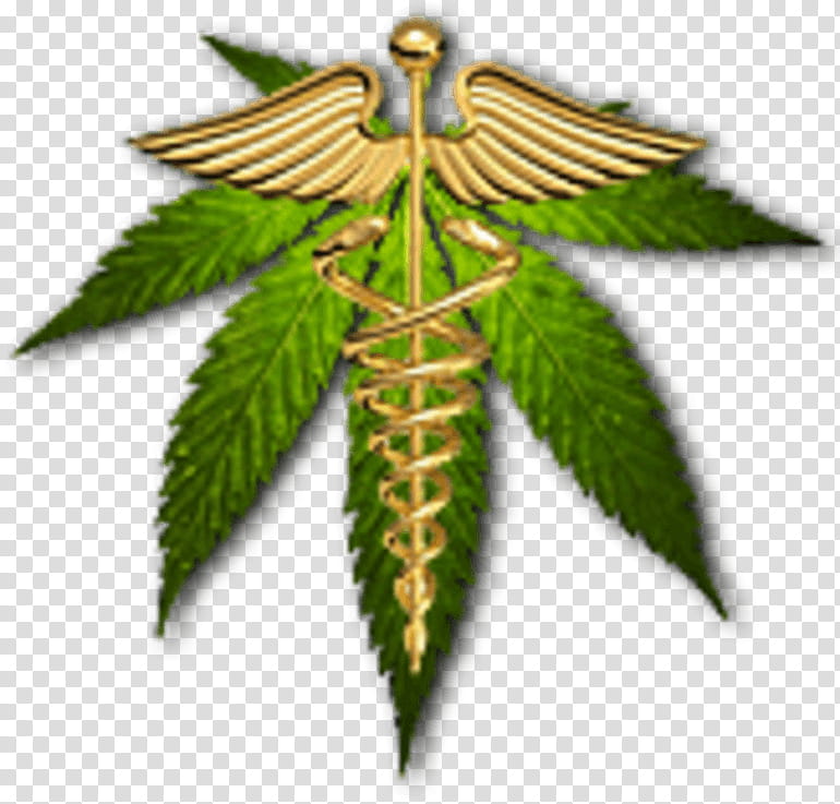 Cannabis Leaf, Hemp, Tree, High Times, Mind, Plant transparent background PNG clipart