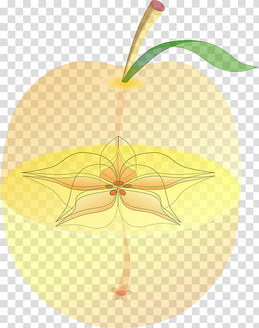 Apple Leaf, Fruit, Food, Peach, Meal, Eating, Food Group, Fruit Anatomy transparent background PNG clipart