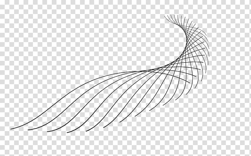 Curves line Black, black string illustration transparent background PNG clipart