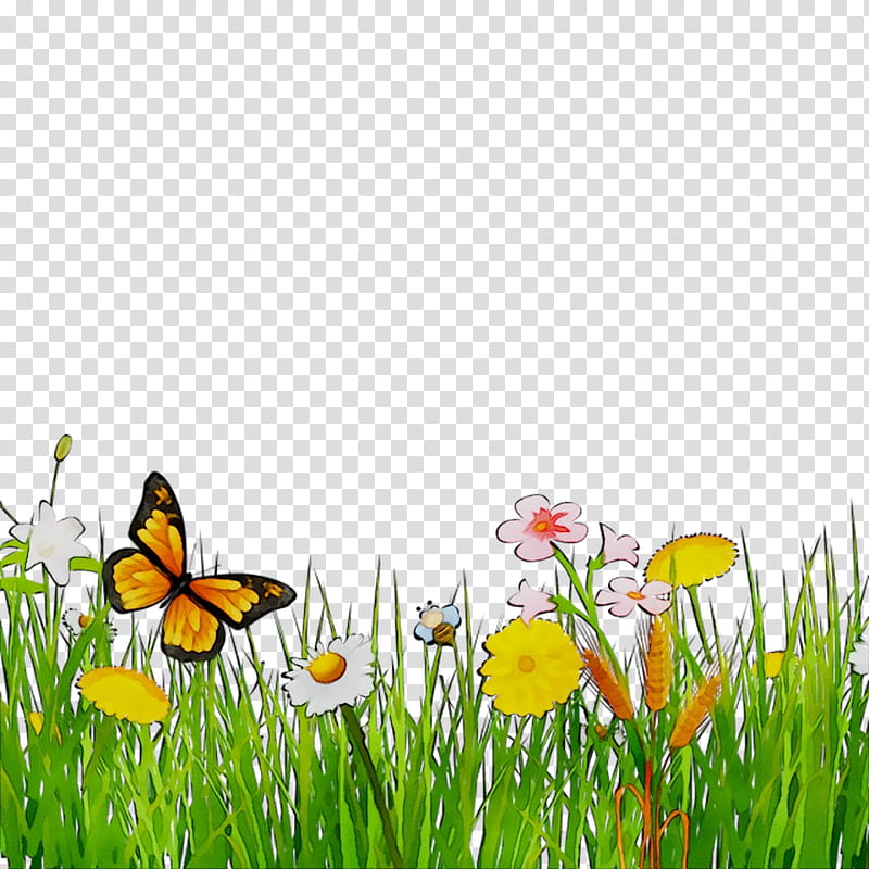 Cartoon Nature, Brushfooted Butterflies, Insect, Computer, Grasses, Membrane, Natural Landscape, Butterfly transparent background PNG clipart