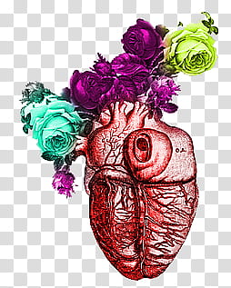 Colored Sketches , purple, green, and teal roses and red heart art transparent background PNG clipart