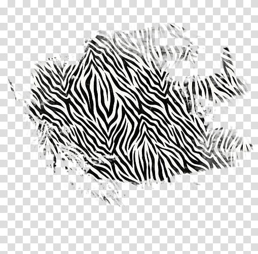 Tiger Stripe Images  Free Photos, PNG Stickers, Wallpapers