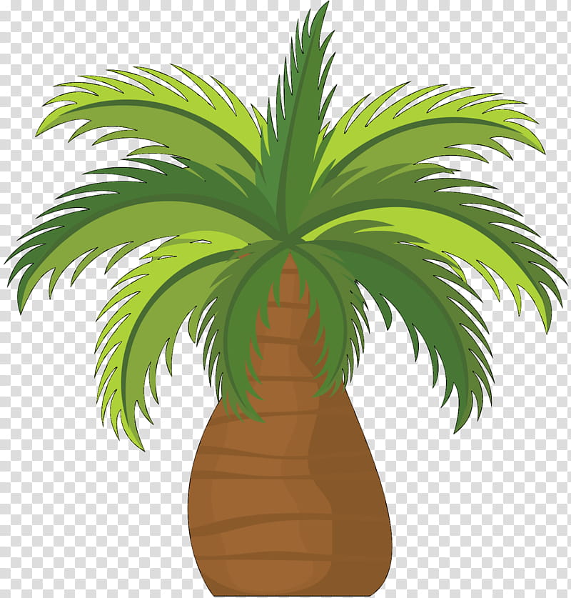 Date Tree Leaf, Coconut, Breadfruit, Fruit Tree, Color, Baobab, Cartoon, Date Palm transparent background PNG clipart
