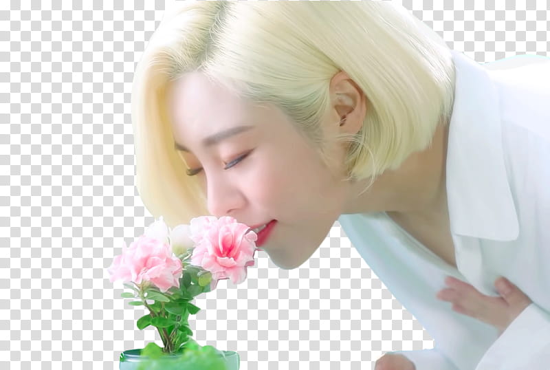 MAMAMOO EVERYDAY MV, women's white collared top transparent background PNG clipart