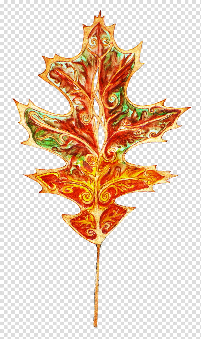 Maple Leaf, Reindeer, Common Sunflower, XCF, Gardening, Antler, Vegetable, Tree transparent background PNG clipart