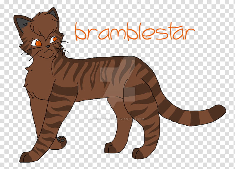 Cats, Whiskers, Digital Art, Tigerstar, Goldenflower, Tawnypelt, Fan Art, Drawing transparent background PNG clipart