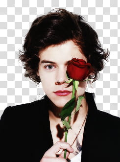 Harry Styles holding red rose transparent background PNG clipart