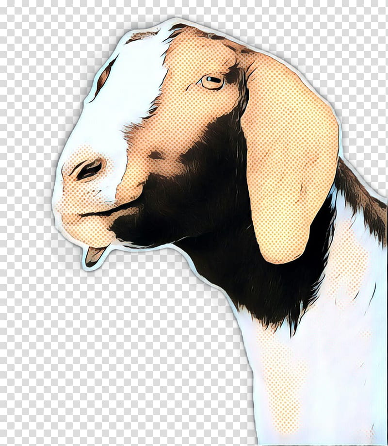 Goat, Dog, Cattle, Snout, Ear, Goats, Nose, Head transparent background PNG clipart