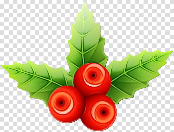 Christmas Poinsettia, Common Holly, Viscum Album, Mistletoe, Christmas Day, Joulukukka, Christmas Mistletoe, Flower transparent background PNG clipart