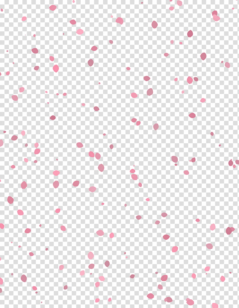 Cherry Blossom   x  transparent background PNG clipart