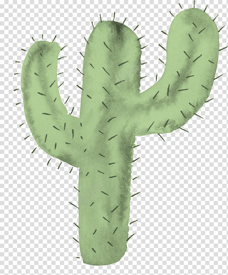Cartoon Cactus Potted Plant Plant Cactus PNG , Cacto Clipart