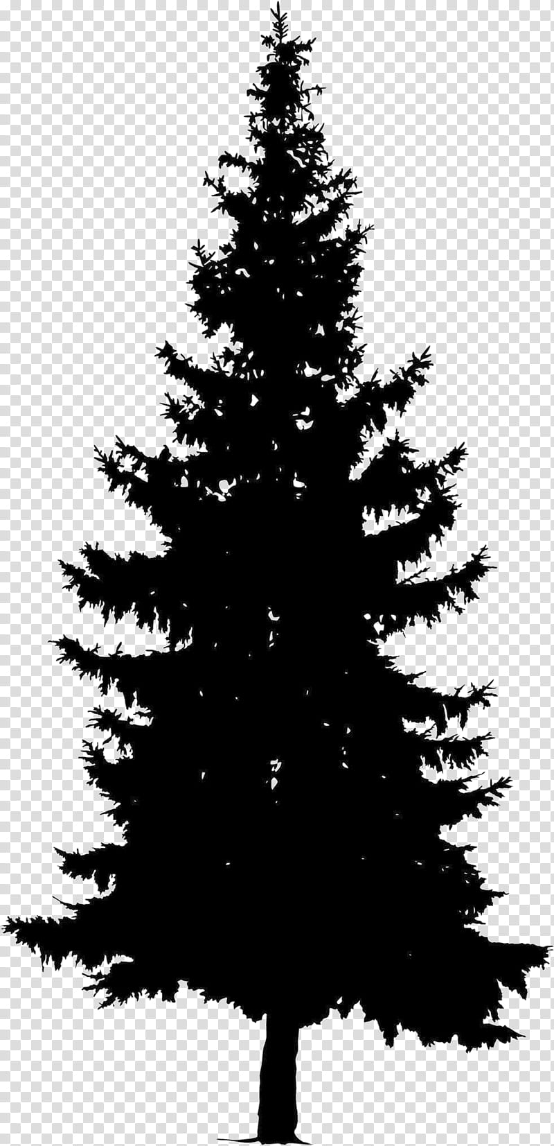 Christmas Black And White, Pine, Silhouette, Drawing, Tree, Fir, Shortleaf Black Spruce, Balsam Fir transparent background PNG clipart
