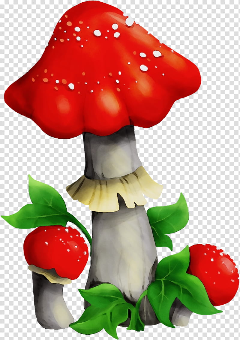 mushroom agaric agaricomycetes fungus medicinal mushroom, Watercolor, Paint, Wet Ink, Agaricus, Plant, Edible Mushroom transparent background PNG clipart